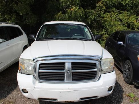Used 2007 Dodge Dakota SLT AWD/4WD image 2