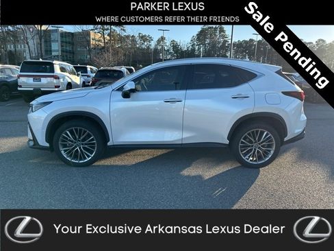 Used 2022 Lexus NX 350h AWD image 5