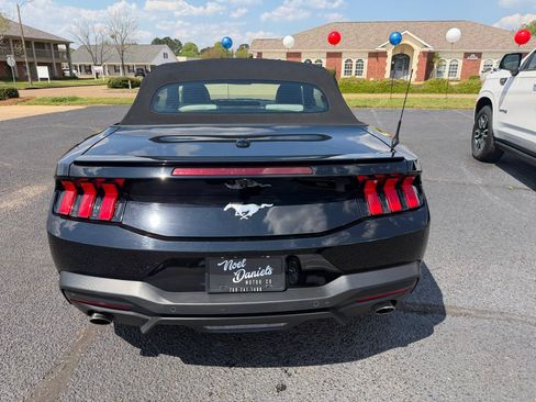 Used 2024 Ford Mustang Premium RWD image 5