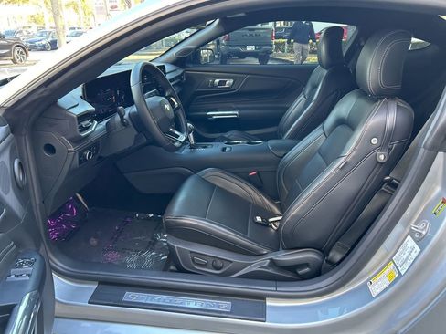 Used 2025 Ford Mustang Premium w/ Mustang Nite Pony Package image 5