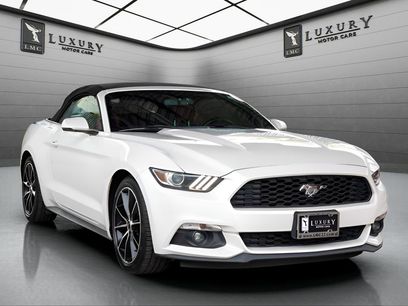 Used 2017 Ford Mustang Premium w/ Equipment Group 201A
