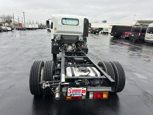 New 2026 Isuzu NPR image 6