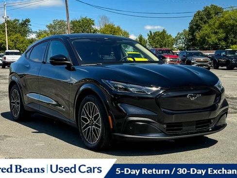 Used 2025 Ford Mustang Mach-E Premium AWD/4WD image 1