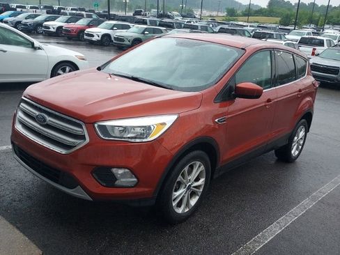 Used 2019 Ford Escape SE AWD/4WD image 1