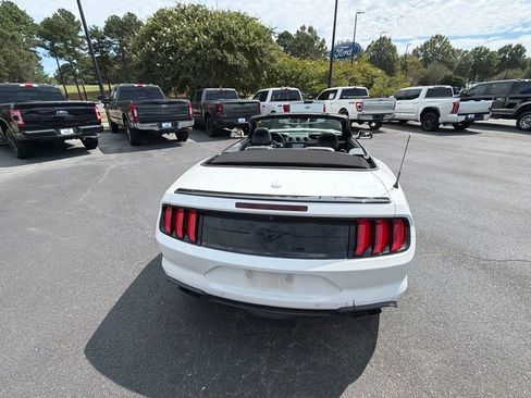 Used 2019 Ford Mustang Premium w/ Equipment Group 201A RWD image 14