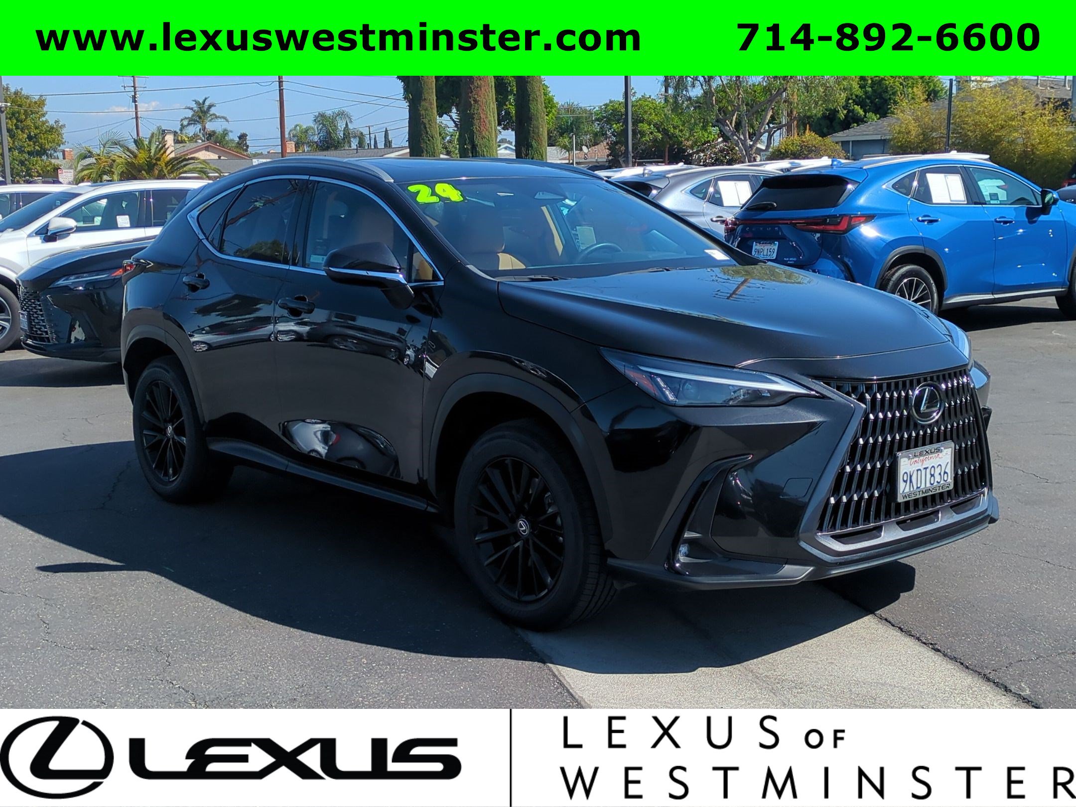 Certified 2024 Lexus NX 250 FWD image 3