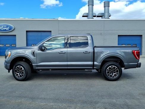 Used 2023 Ford F150 XLT w/ Equipment Group 302A High AWD/4WD image 2