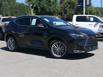 Used 2025 Lexus NX 350h AWD w/ Cold Area Package