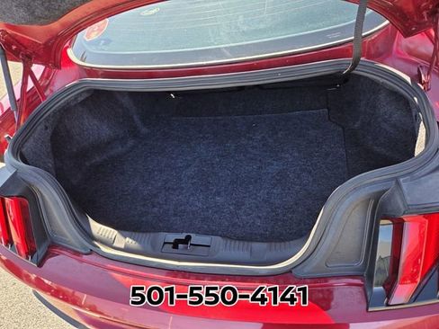 Used 2019 Ford Mustang GT w/ Equipment Group 301A image 14