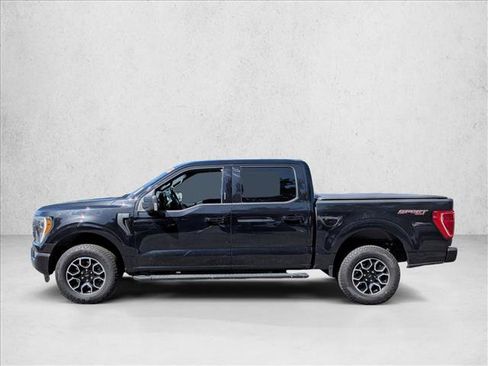 Used 2023 Ford F150 XLT w/ Equipment Group 302A High AWD/4WD image 9