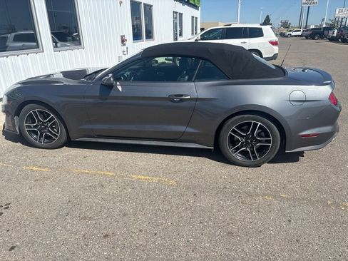 Used 2022 Ford Mustang Premium RWD image 6