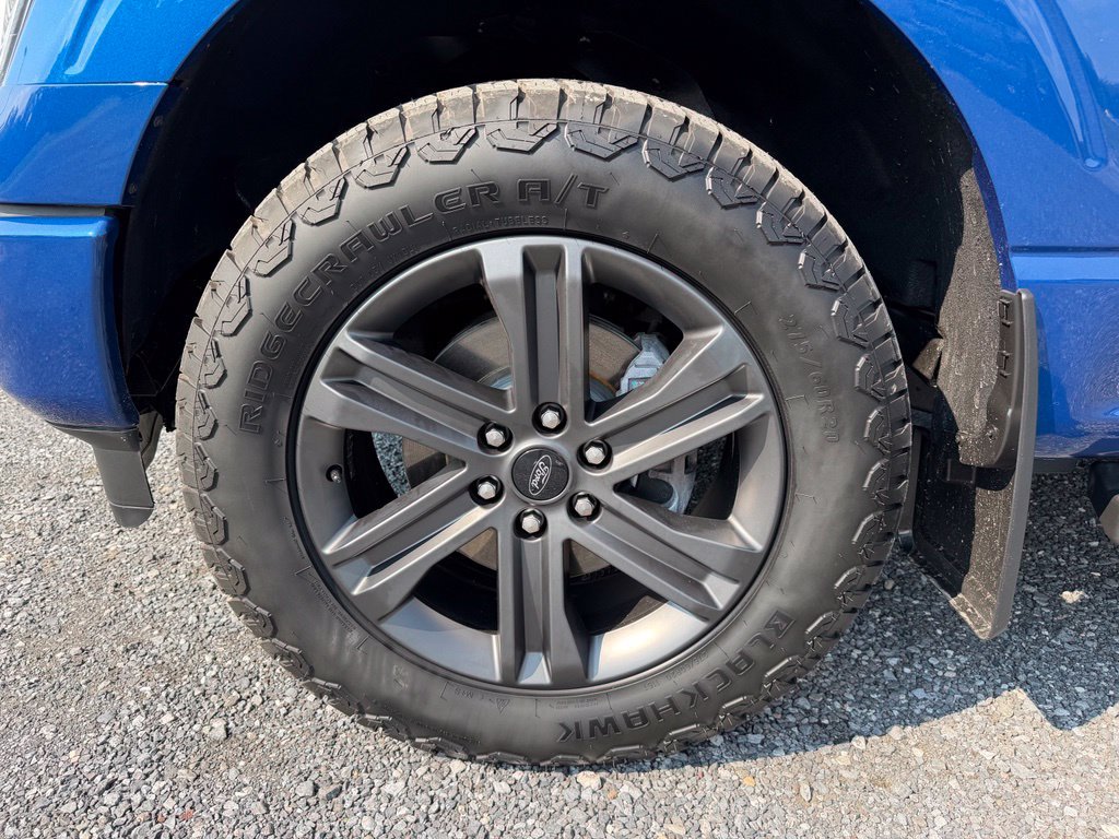 Used 2023 Ford F150 XLT w/ Equipment Group 302A High AWD/4WD image 13