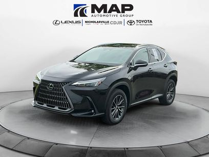 Used 2024 Lexus NX 350 AWD
