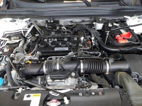 Used 2019 Honda Accord EX-L image 11