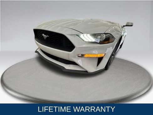 Used 2019 Ford Mustang Premium RWD image 3
