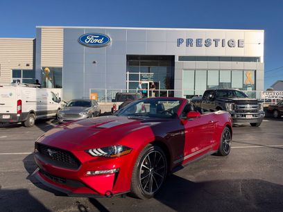 Used 2020 Ford Mustang Premium w/ Equipment Group 201A