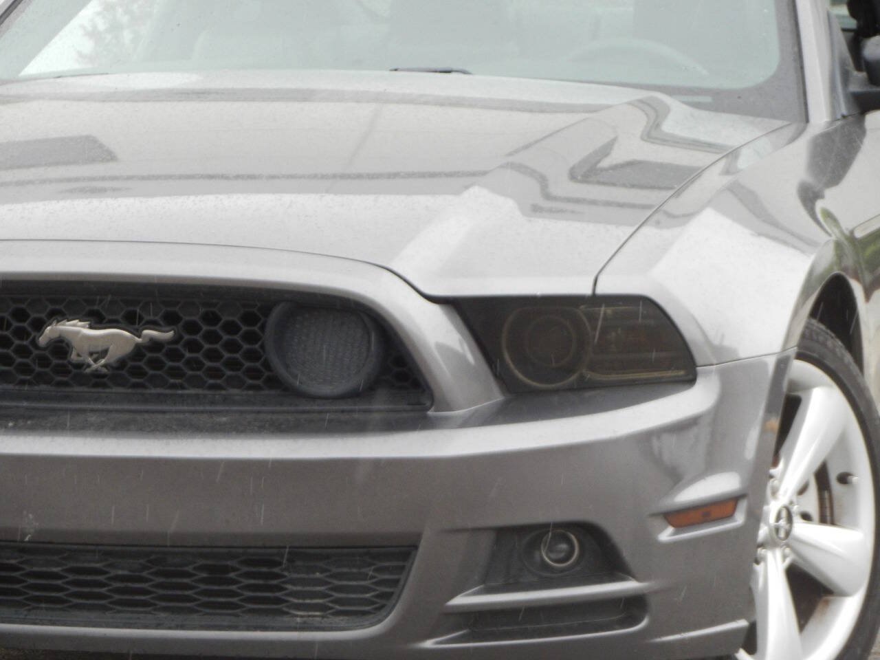 Used 2014 Ford Mustang Coupe w/ Equipment Group 102A RWD image 5