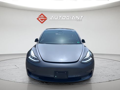 Used 2019 Tesla Model 3 Long Range AWD/4WD image 7