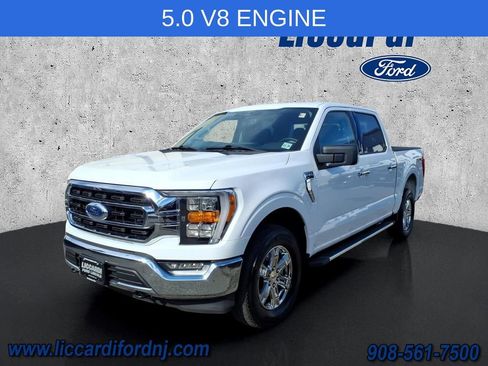 Used 2023 Ford F150 XLT w/ Equipment Group 302A High AWD/4WD image 3