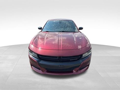 Used 2018 Dodge Charger SXT w/ Blacktop Package RWD image 8