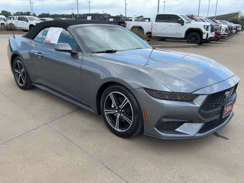 Used 2025 Ford Mustang Premium RWD image 3