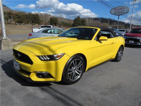 Used 2015 Ford Mustang Premium image 14