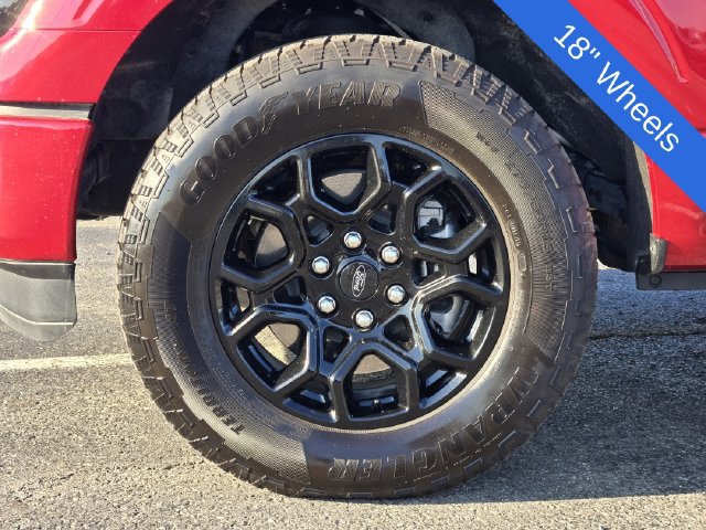Used 2024 Ford F150 XLT w/ Equipment Group 302A MID AWD/4WD image 10