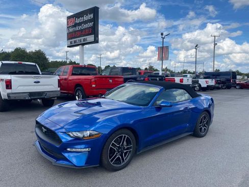 Used 2018 Ford Mustang Premium w/ Equipment Group 201A image 1