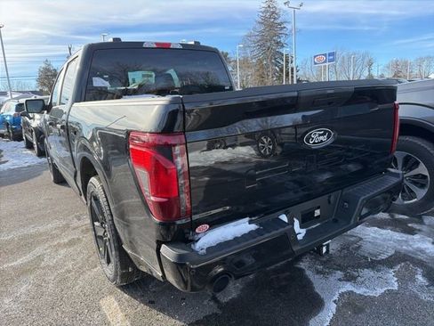 New 2025 Ford F150 STX w/ LOBO Package image 4