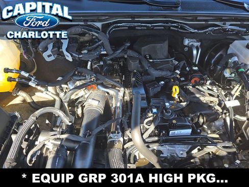 Used 2024 Ford Ranger XLT w/ Equipment Group 301A High RWD image 15