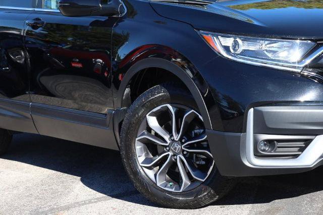 Used 2020 Honda CR-V EX-L image 3