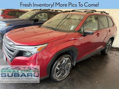 Used 2025 Subaru Forester Limited image 3