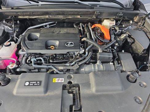 Certified 2025 Lexus NX 350 350h Base w/ Cold Area Package image 30