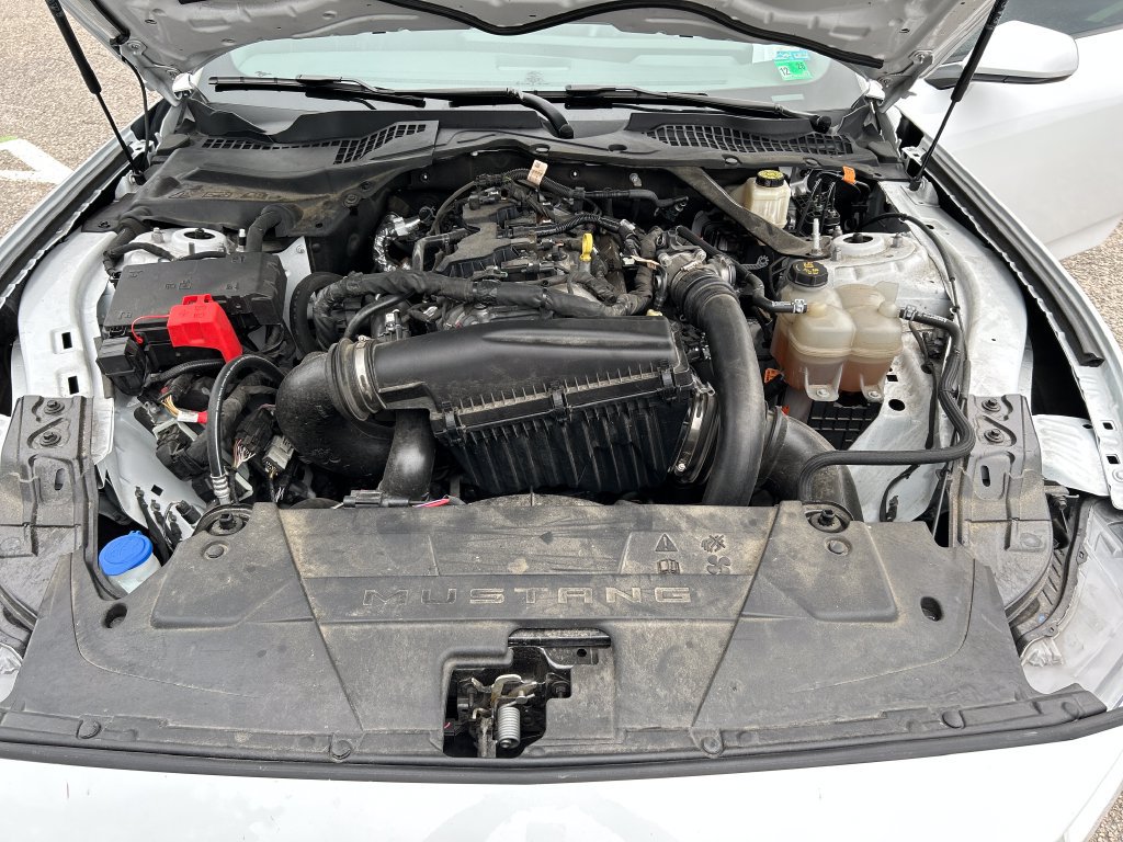 Used 2024 Ford Mustang Premium RWD image 21