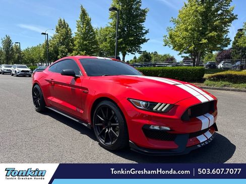 Used 2016 Ford Mustang Shelby GT350 w/ Technology Package RWD image 1