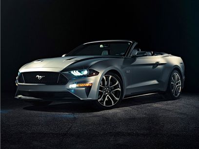 Used 2019 Ford Mustang Premium w/ Equipment Group 201A