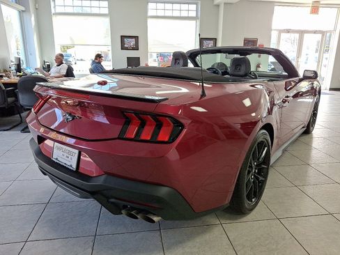 Certified 2025 Ford Mustang Premium w/ Mustang Nite Pony Package image 5