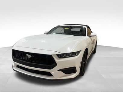 Used 2024 Ford Mustang Premium