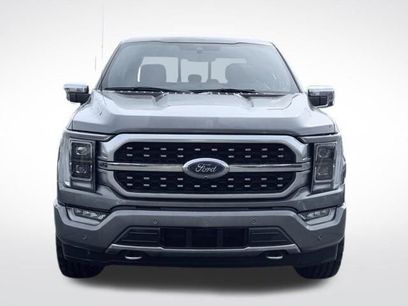 Used 2021 Ford F150 Platinum w/ Equipment Group 701A High