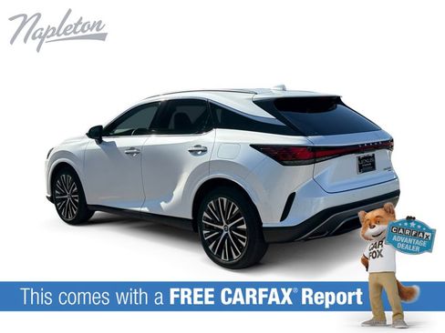 Used 2025 Lexus RX 350 Premium Plus w/ Convenience Package AWD/4WD image 3