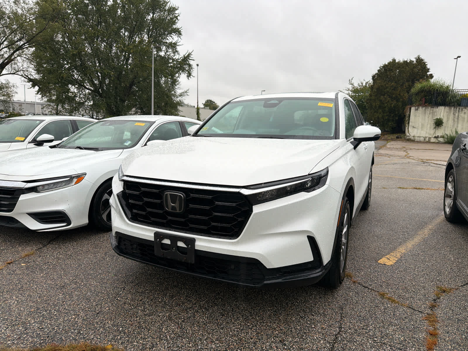 Used 2025 Honda CR-V EX-L image 8