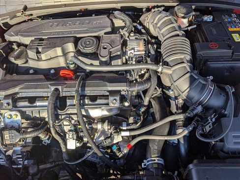 New 2026 Hyundai Elantra N Line w/ Cargo Package image 16