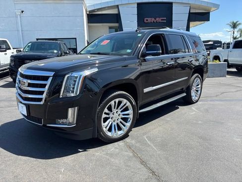 Used 2020 Cadillac Escalade Luxury AWD/4WD image 1