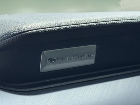 Used 2019 Ford Mustang GT Premium image 19