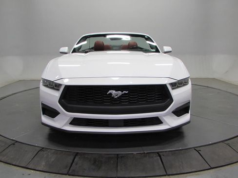 Used 2024 Ford Mustang Premium RWD image 14