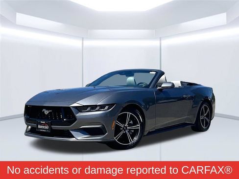Used 2024 Ford Mustang Premium RWD image 2