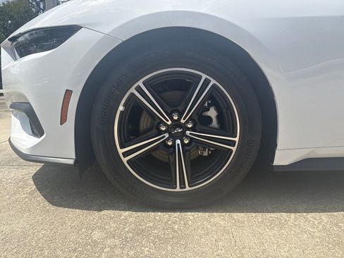 New 2025 Ford Mustang EcoBoost image 11