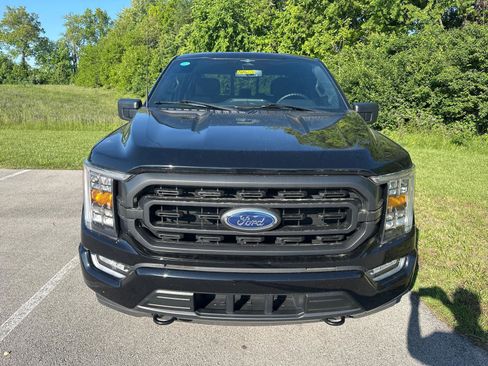 Used 2023 Ford F150 XLT w/ Equipment Group 302A High AWD/4WD image 2