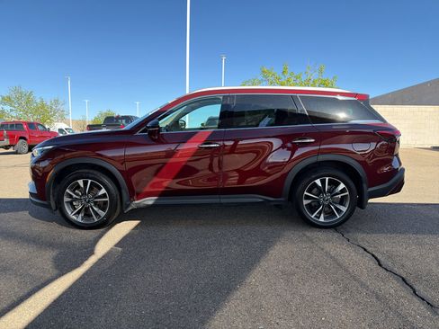 Used 2023 INFINITI QX60 Luxe w/ Cargo Package image 8