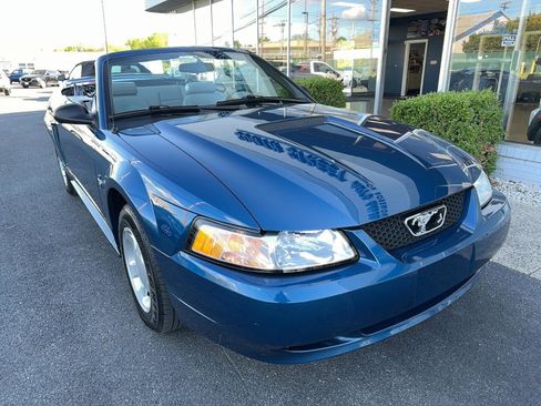 Used 2000 Ford Mustang Convertible RWD image 2